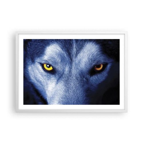 Poster in einem weißen Rahmen - Faszinierender Blick - 70x50 cm
