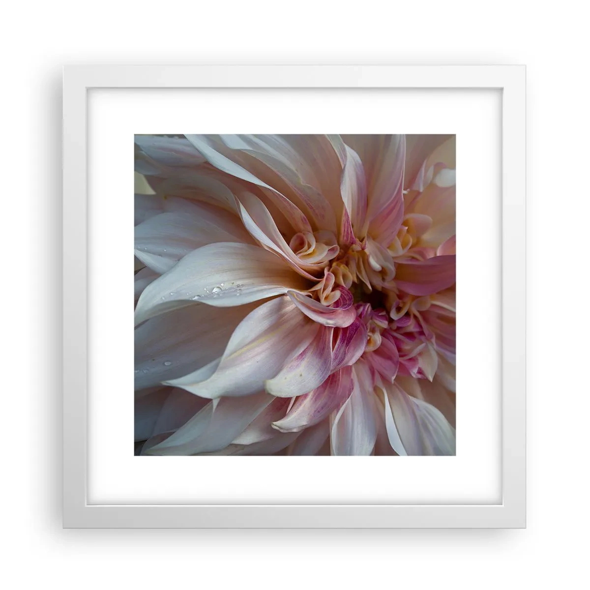 Poster in einem weißen Rahmen - Blühende Frische - 30x30 cm