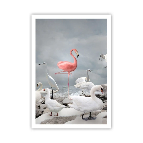 Poster - Wie kam ich hier hin? - 70x100 cm