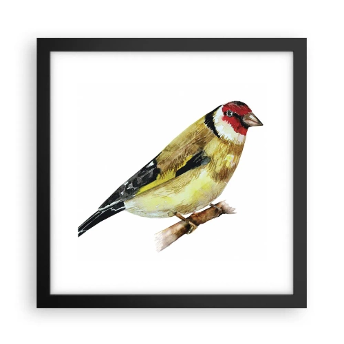 Poster in einem schwarzem Rahmen - Vogelporträt - 30x30 cm