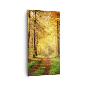 Bild auf Leinwand - Leinwandbild - Waldgoldene Stille - 65x120 cm