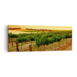 Bild auf Leinwand - Leinwandbild - Weinreben auf einer Plantage bei einem goldenen Sonnenuntergang - 140x50cm - Holen Sie sich einen Drink von der Sonne - Moderne Wanddekoration für Wohnzimmer und Schlafzimmer ARTTOR