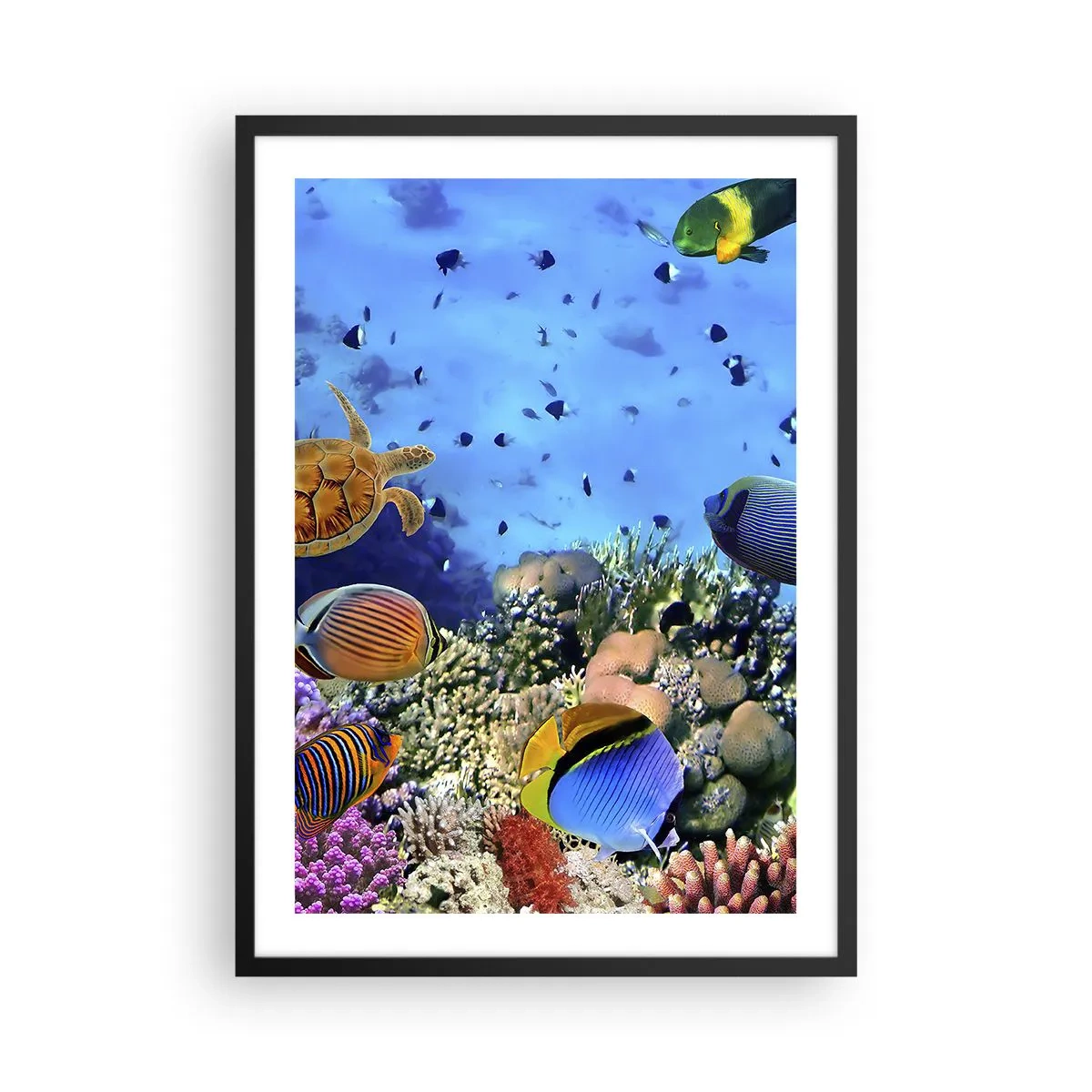 Poster in einem schwarzem Rahmen - Die Unterwasserwelt eines Korallenriffs mit tropischen Fischen - 50x70cm - Und was wissen wir über das Leben ... - Moderne Wanddekoration für Wohnzimmer und Schlafzimmer ARTTOR