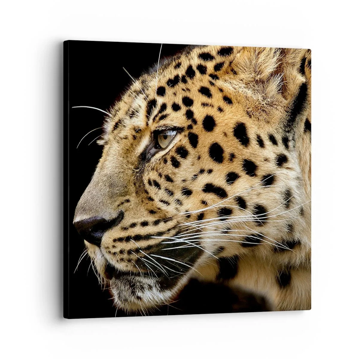 Bild auf Leinwand - Leinwandbild - Ruhig, fokussiert, bereit - 30x30 cm