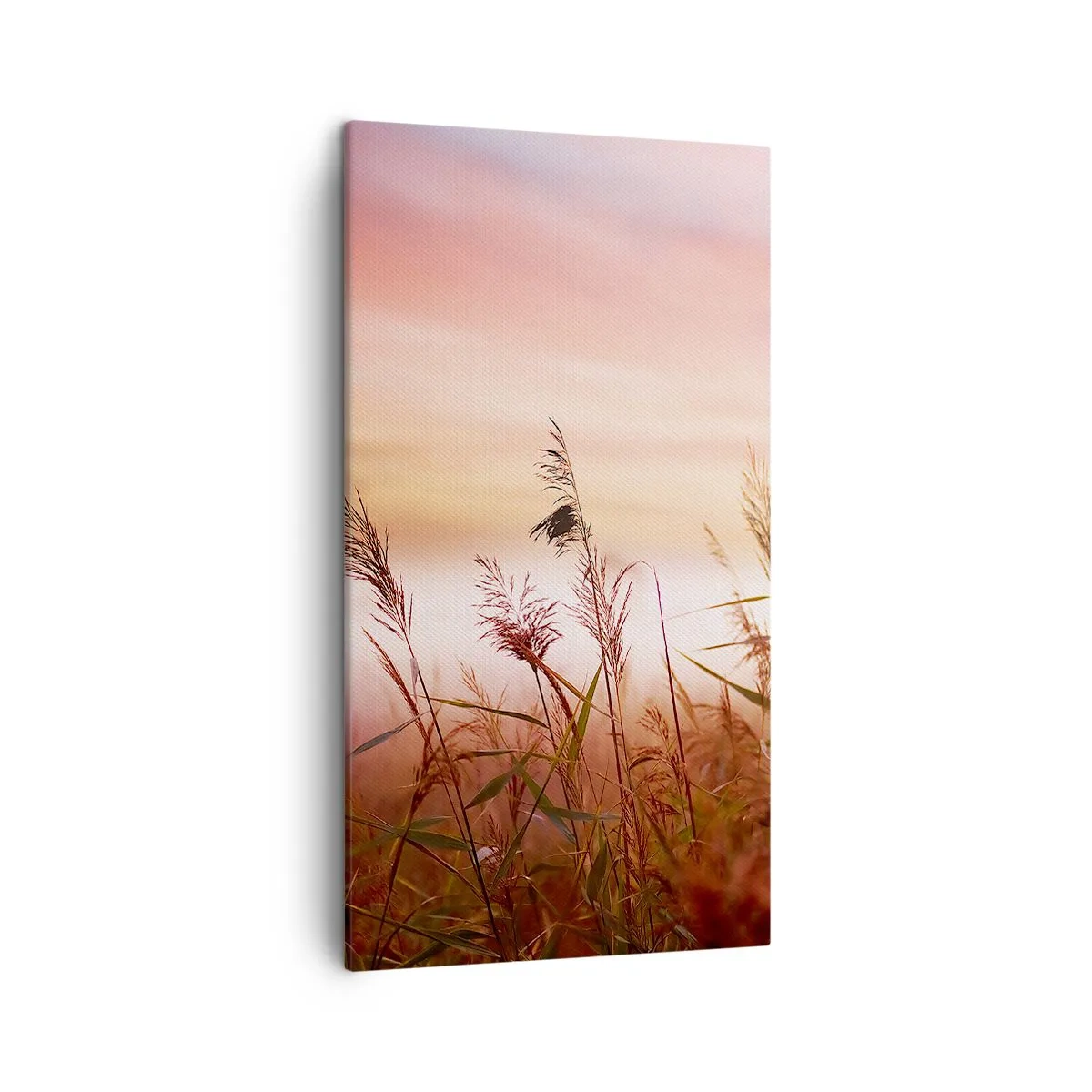 Bild auf Leinwand - Leinwandbild - Drachen, Löwenzahn, Wind - 45x80 cm