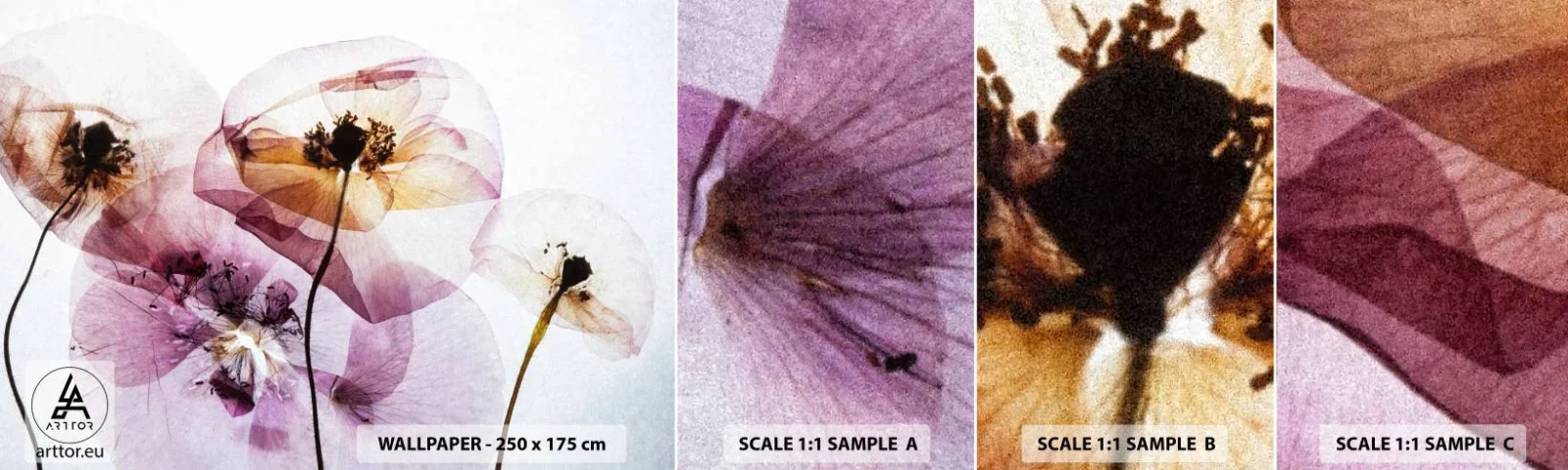 Fototapetenmuster Standard Eco - Transparente Körperblumen - Blumen, Garten, Stück - 100x30 cm