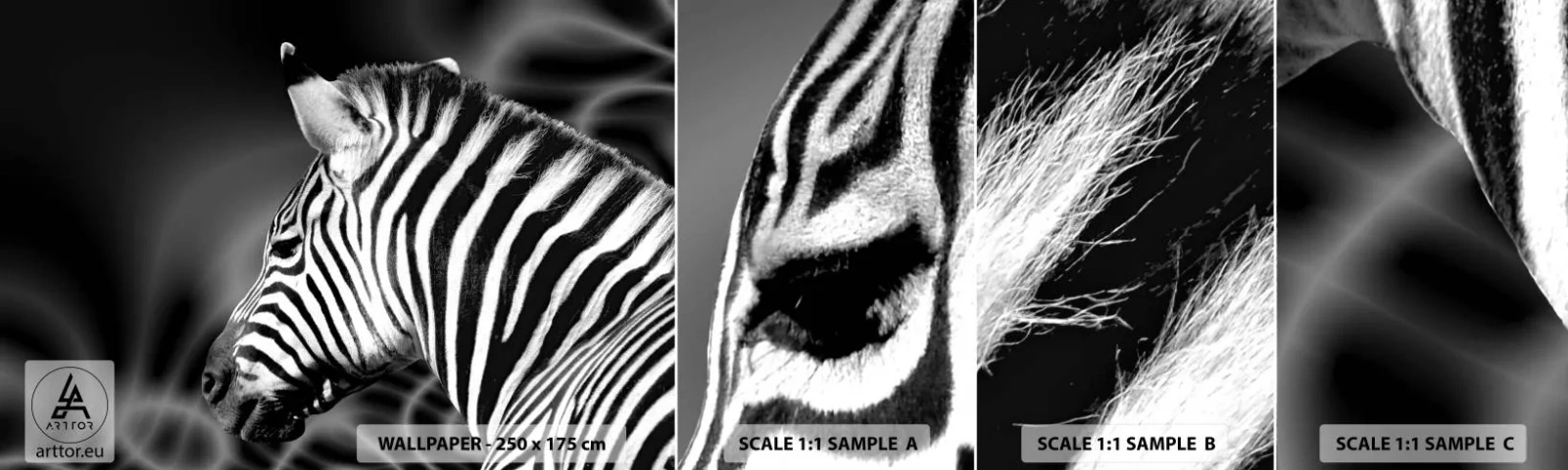 Fototapetenmuster Standard Eco - Weiß ist weiß und schwarz ist schwarz - Rippen, Schwarz und weiß, Tiere - 100x30 cm