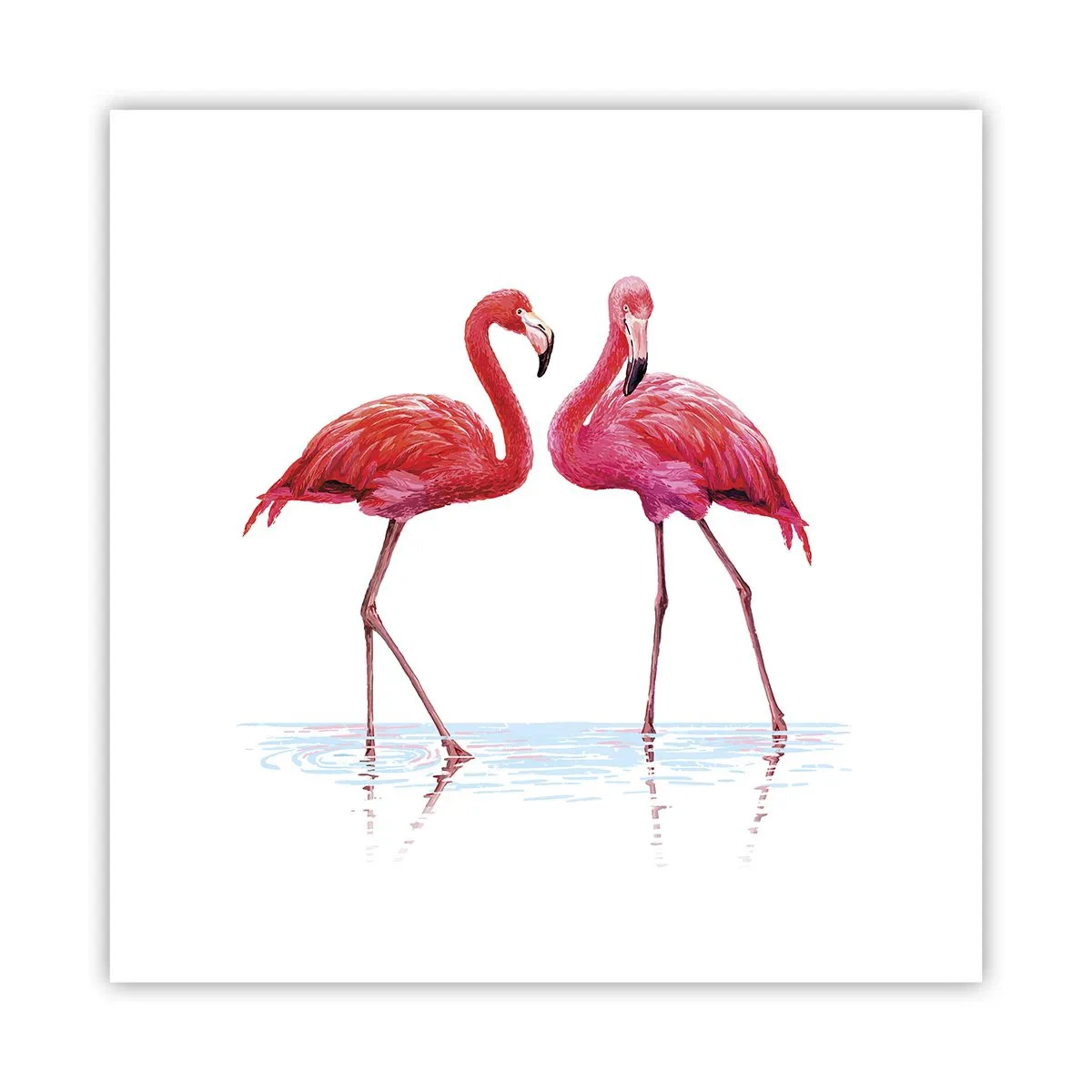 Poster - Rosa randez-vous - 30x30 cm