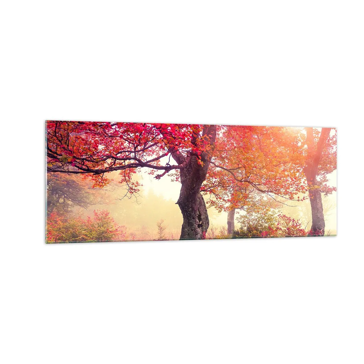 Glasbild - Bild auf glas - Herbstlandschaft mit Bäumen in intensiven Farben - 140x50cm - Blühende Raserei - Moderne Wanddekoration für Wohnzimmer und Schlafzimmer ARTTOR