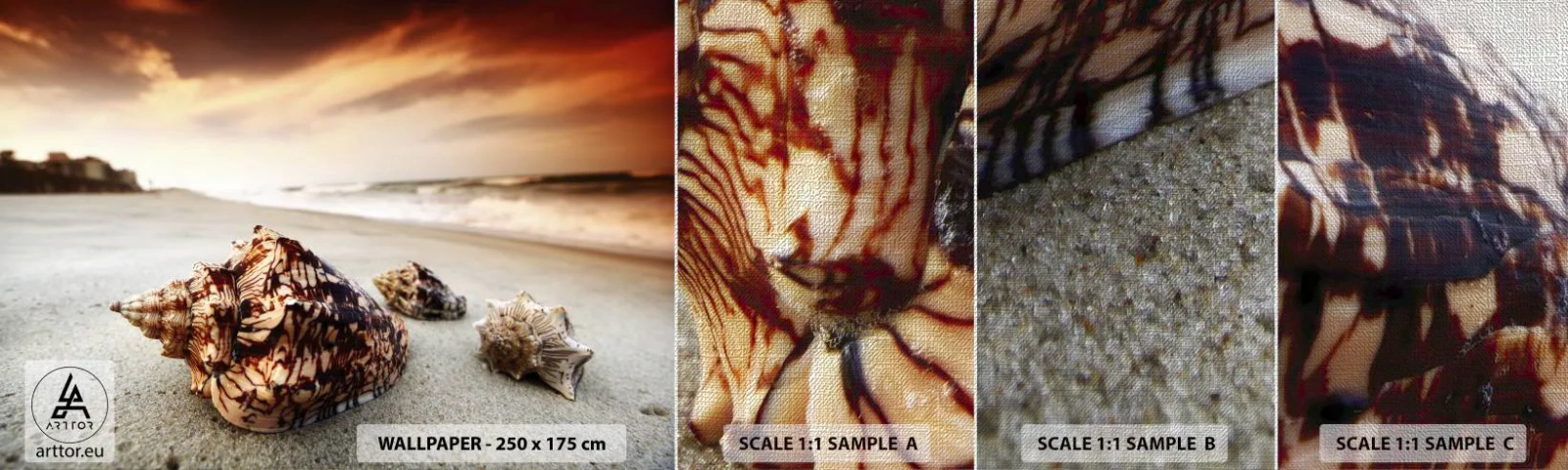 Fototapeten Muster Premium Canvas - Ausgestoßene von Wellen - Landschaft, Meer, Muschel - 100x30 cm