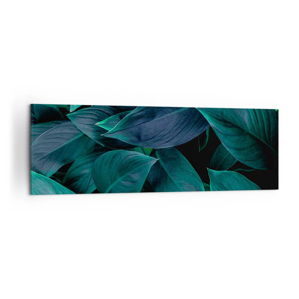 Bild auf Leinwand - Leinwandbild - Nahaufnahme von grünen Blättern mit dunklem Hintergrund - 160x50cm - Grün in sich selbst - Moderne Wanddekoration für Wohnzimmer und Schlafzimmer ARTTOR