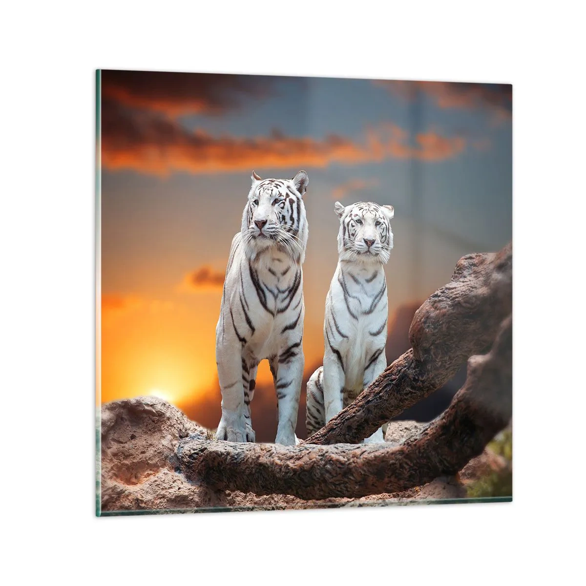 Glasbild - Bild auf glas - Genau wie Narnia - 60x60 cm