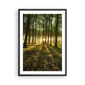 Poster in einem schwarzem Rahmen - Ein Wald, beleuchtet von den Strahlen der untergehenden Sonne - 50x70cm - Alle Frühlingsfotografie - Moderne Wanddekoration für Wohnzimmer und Schlafzimmer ARTTOR