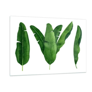 Glasbild - Bild auf glas - Vier grüne Bananenblätter auf weißem Hintergrund - 120x80cm - Grüne Symmetrie - Moderne Wanddekoration für Wohnzimmer und Schlafzimmer ARTTOR