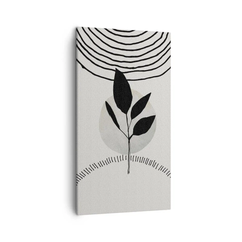 Bild auf Leinwand - Leinwandbild - Komposition: Naturrituale - 45x80 cm