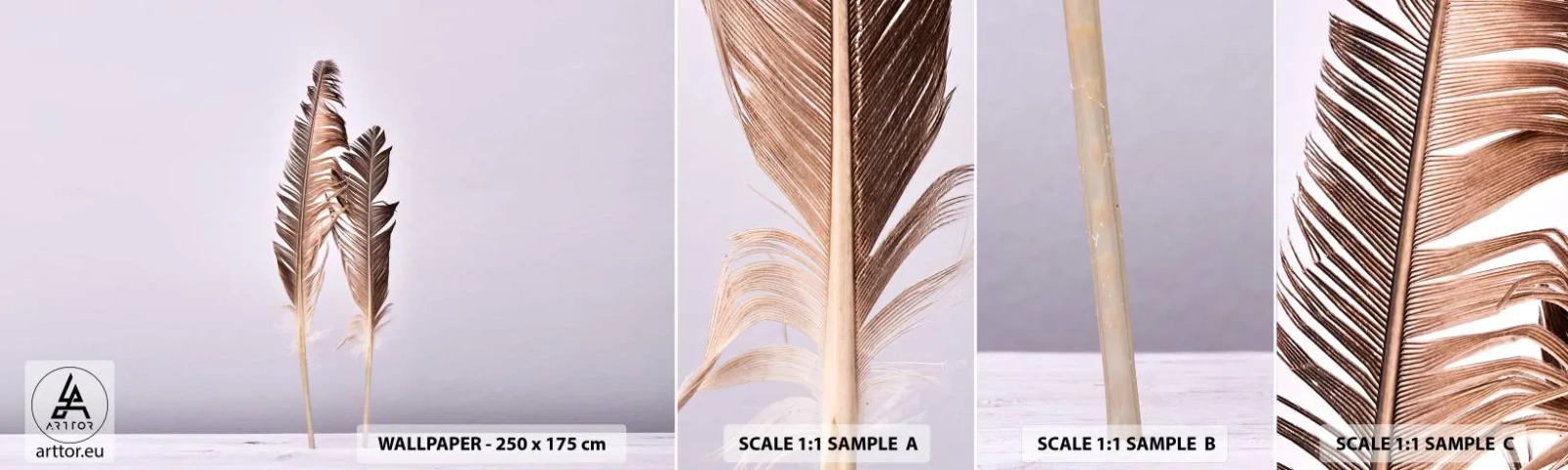 Fototapetenmuster Standard Eco - Gegen das Nichts - Vogelfeder, Stück, Grafik - 100x30 cm