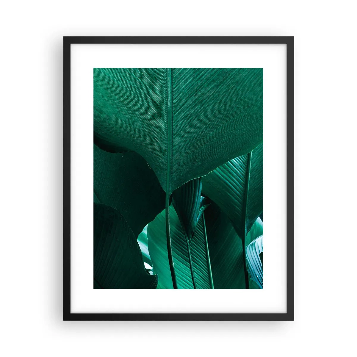 Poster in einem schwarzem Rahmen - Dem Licht zugewandt - 40x50 cm