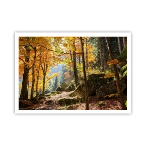 Poster - Ein Herbstwald voller goldener Blätter und Sonnenlicht - 100x70cm - Zeit zum Entspannen - Moderne Wanddekoration für Wohnzimmer und Schlafzimmer ARTTOR