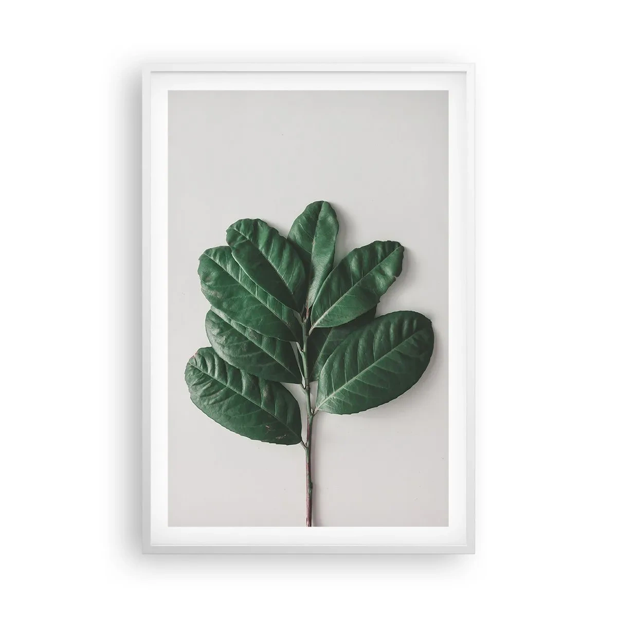 Poster in einem weißen Rahmen - Eine Zeichnung purer Natur - 61x91 cm