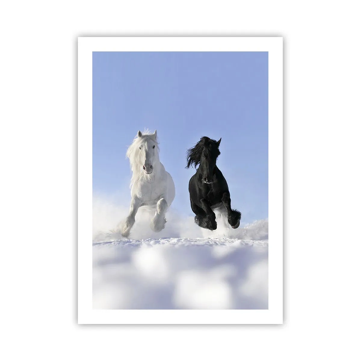 Poster - Ein weiß-schwarzes Pferd galoppiert im Schnee - 50x70cm - Schwarz-Weiß-Galopp - Moderne Wanddekoration für Wohnzimmer und Schlafzimmer ARTTOR