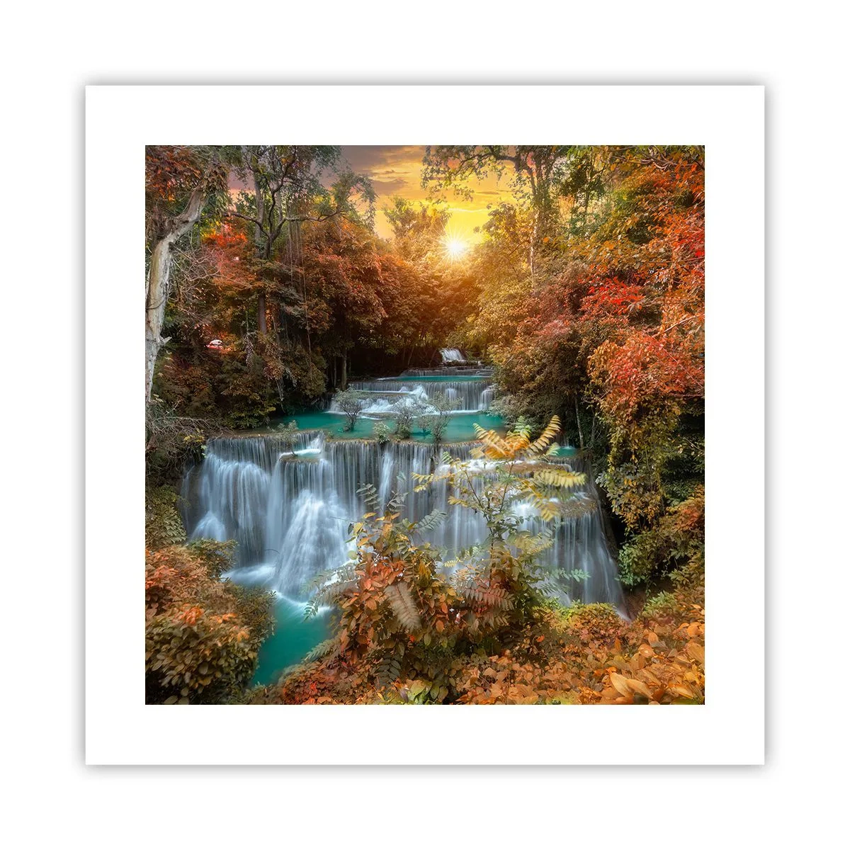 Poster - Versteckter Schatz des Waldes - 40x40 cm