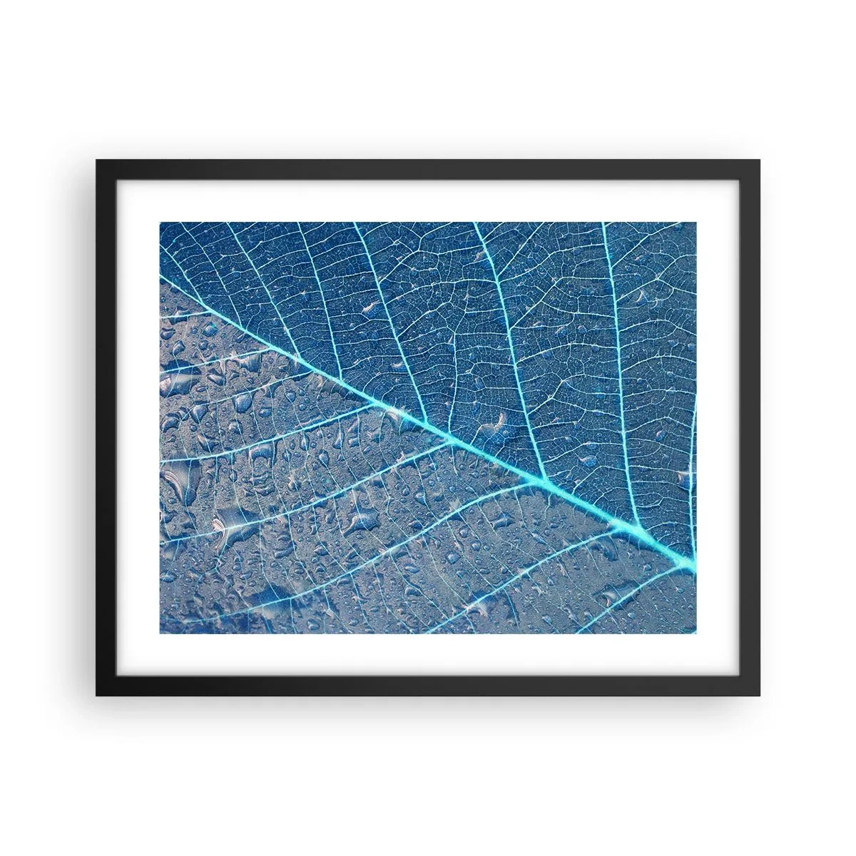 Poster in einem schwarzem Rahmen - Leben in Blau - 50x40 cm