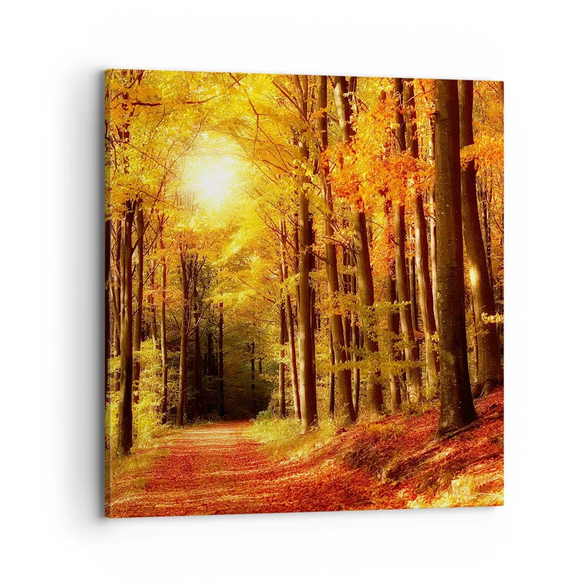 Bild auf Leinwand - Leinwandbild - Goldener Herbst auf einer Forststraße - 70x70 cm