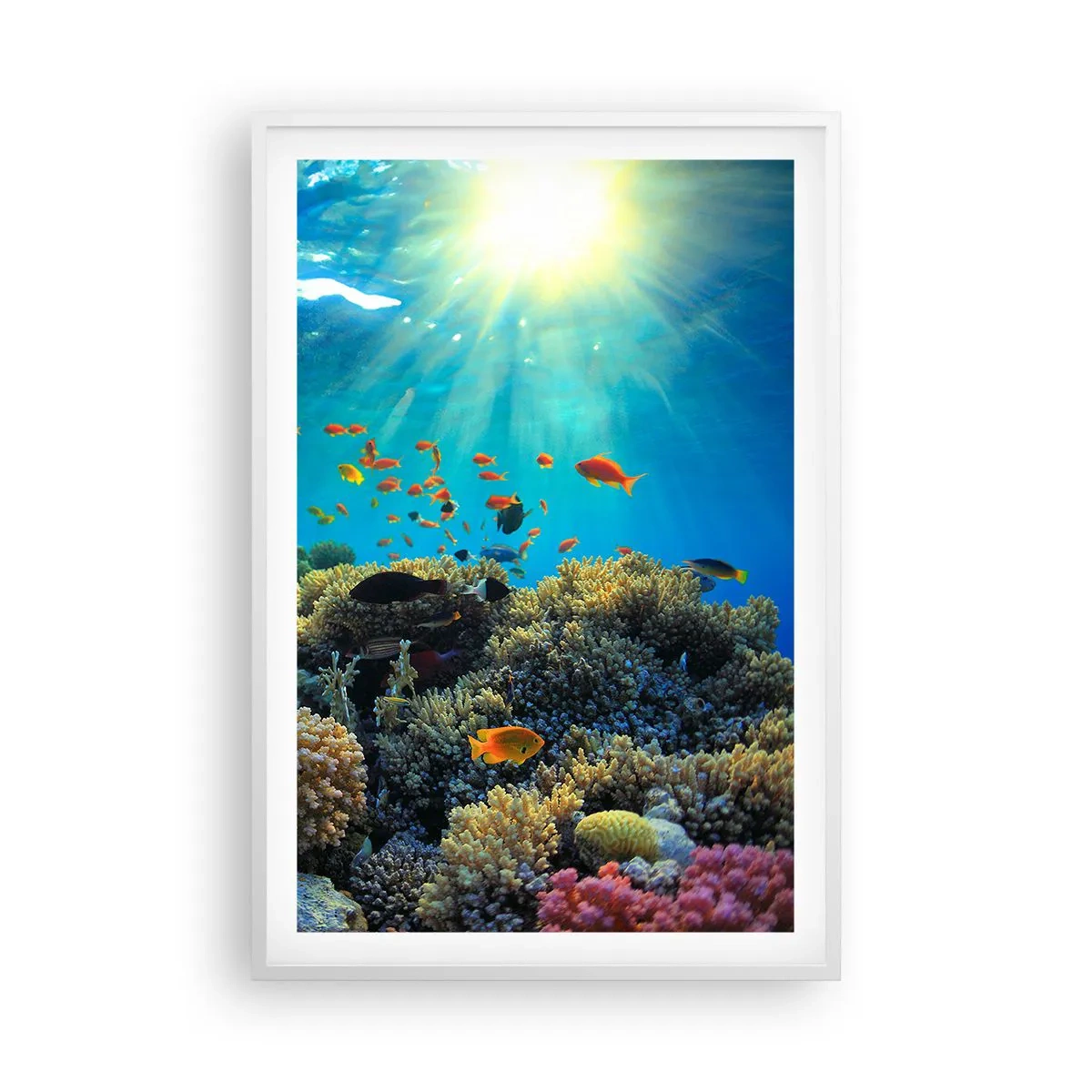 Poster in einem weißen Rahmen - Unterwasserschätze - 61x91 cm