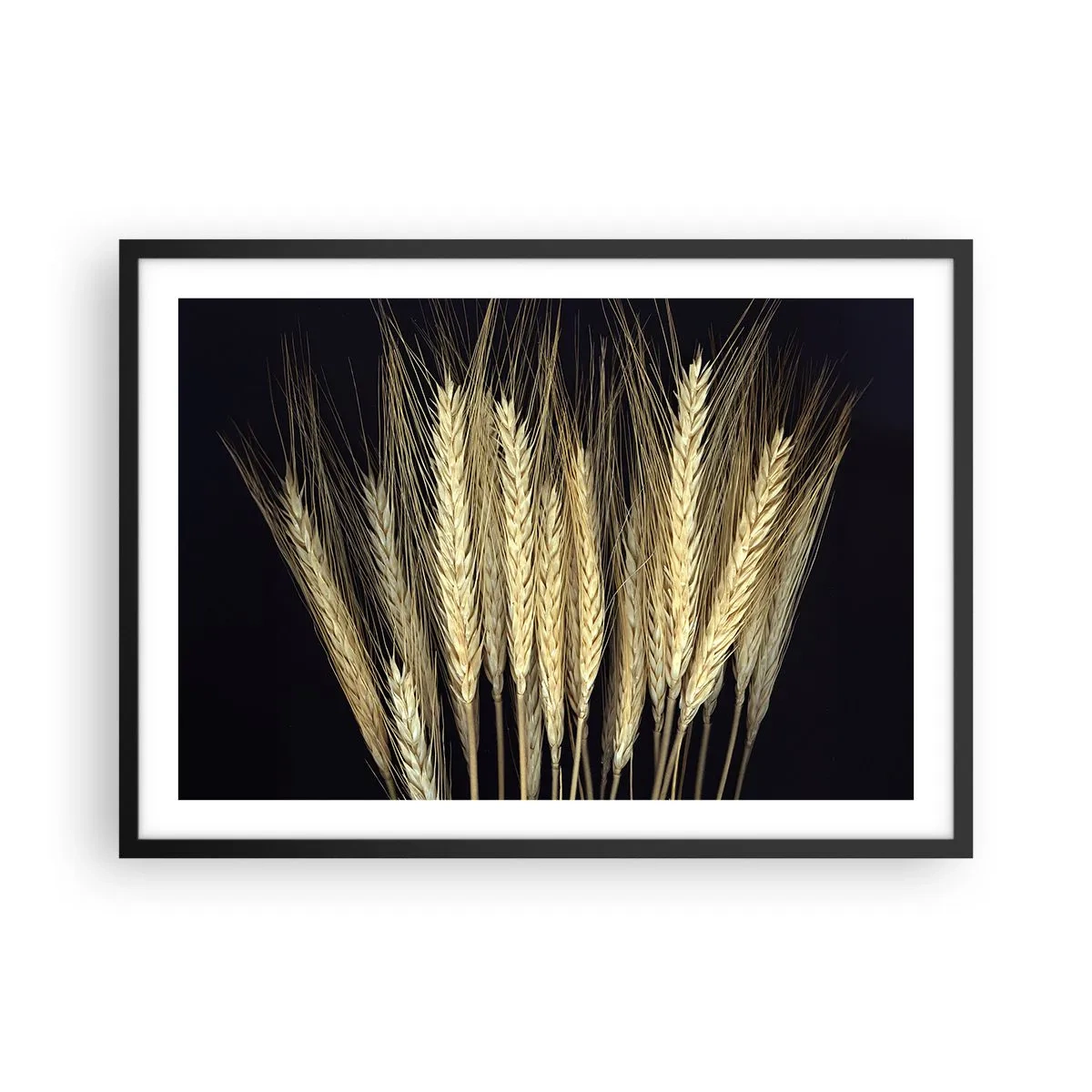 Poster in einem schwarzem Rahmen - Weizenähren auf schwarzem Hintergrund im rustikalen Stil - 70x50cm - Rustikale Magie - Moderne Wanddekoration für Wohnzimmer und Schlafzimmer ARTTOR