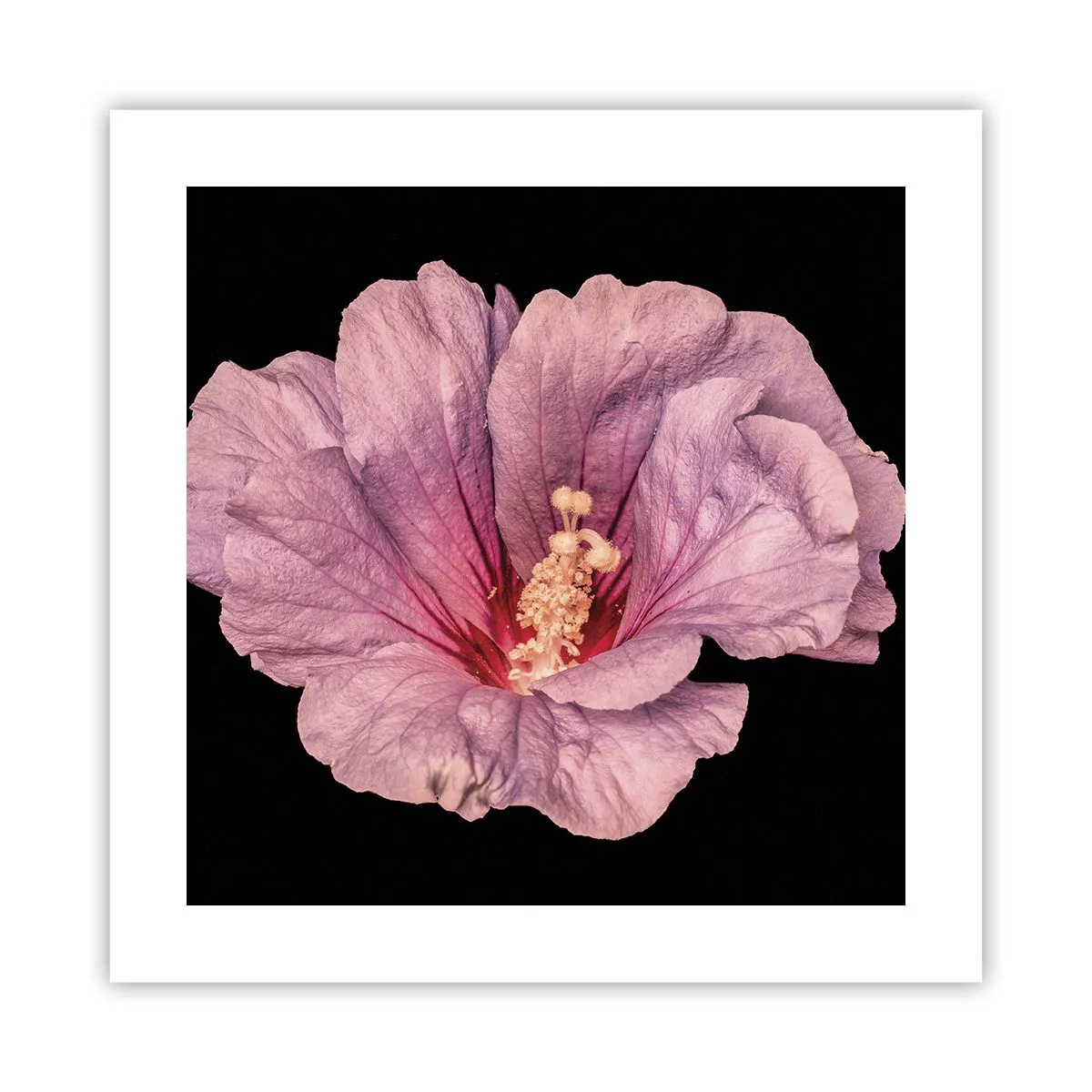 Poster - Direkt ins Herz - 40x40 cm