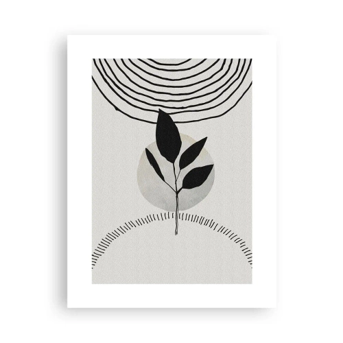 Poster - Komposition: Naturrituale - 30x40 cm