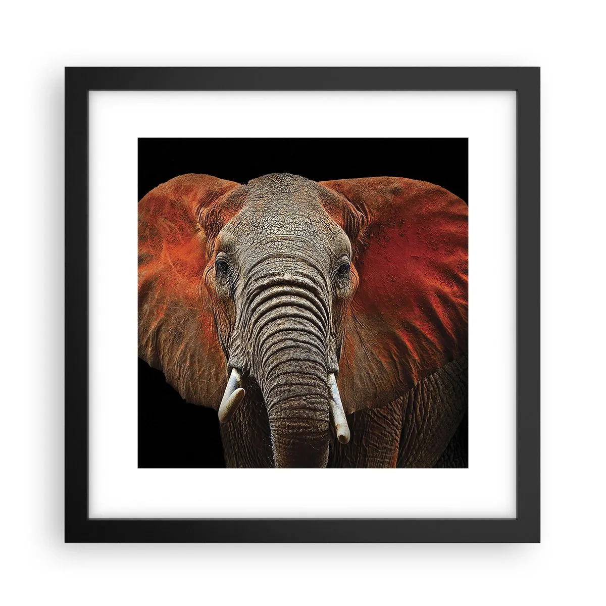 Poster in einem schwarzem Rahmen - Ich bin wild und du? - 30x30 cm