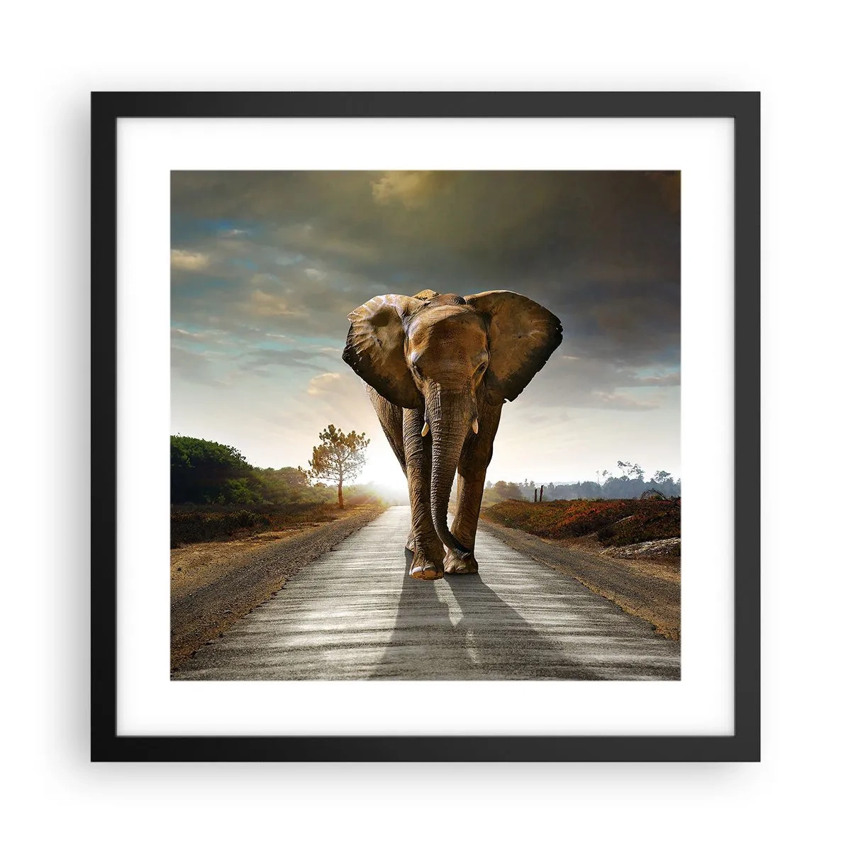 Poster in einem schwarzem Rahmen - Und schon gar nicht in einem Porzellanlager - 40x40 cm