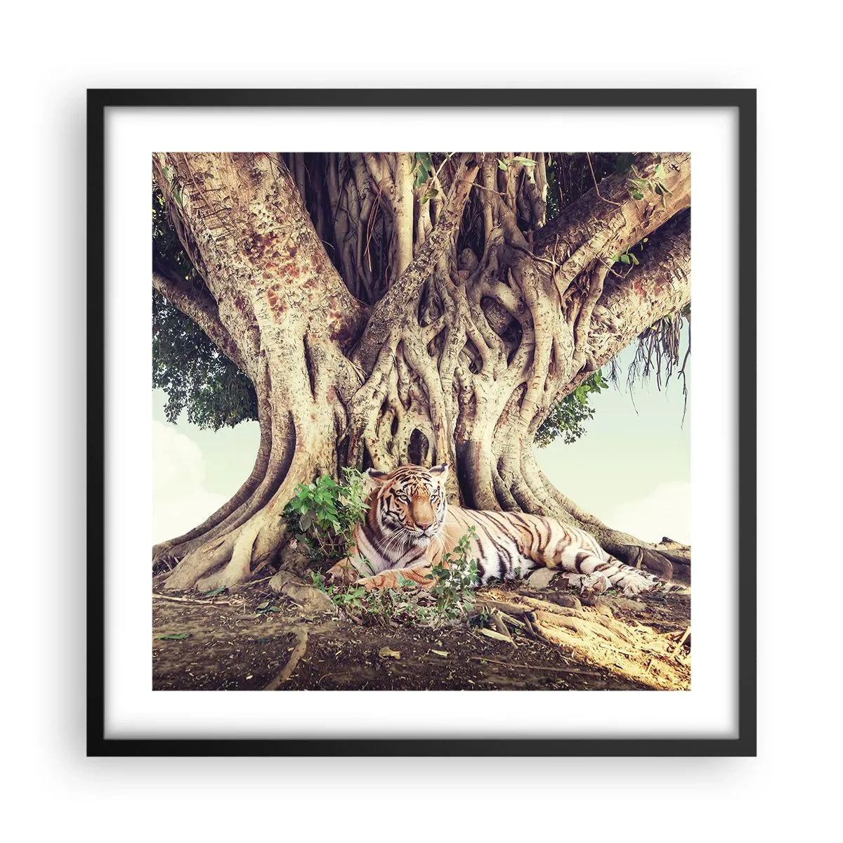 Poster in einem schwarzem Rahmen - Blick aus dem Buch Genesis - 50x50 cm