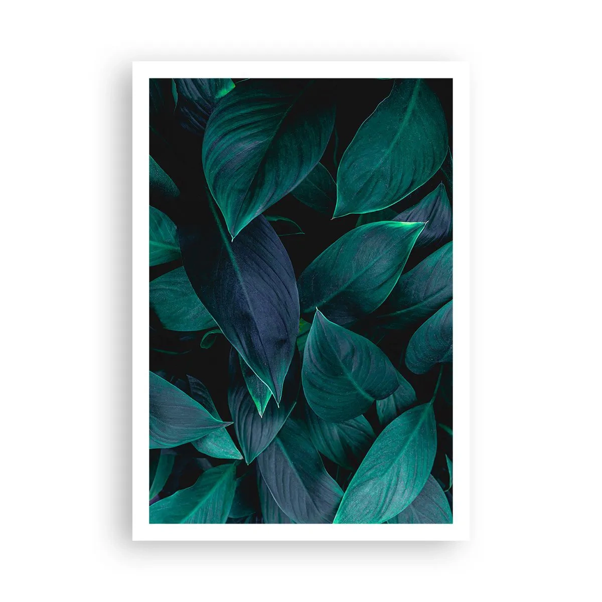Poster - Grün in sich selbst - 70x100 cm