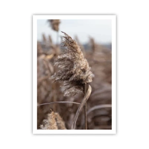 Poster - Zeit, mit dem Wind zu gehen - 70x100 cm