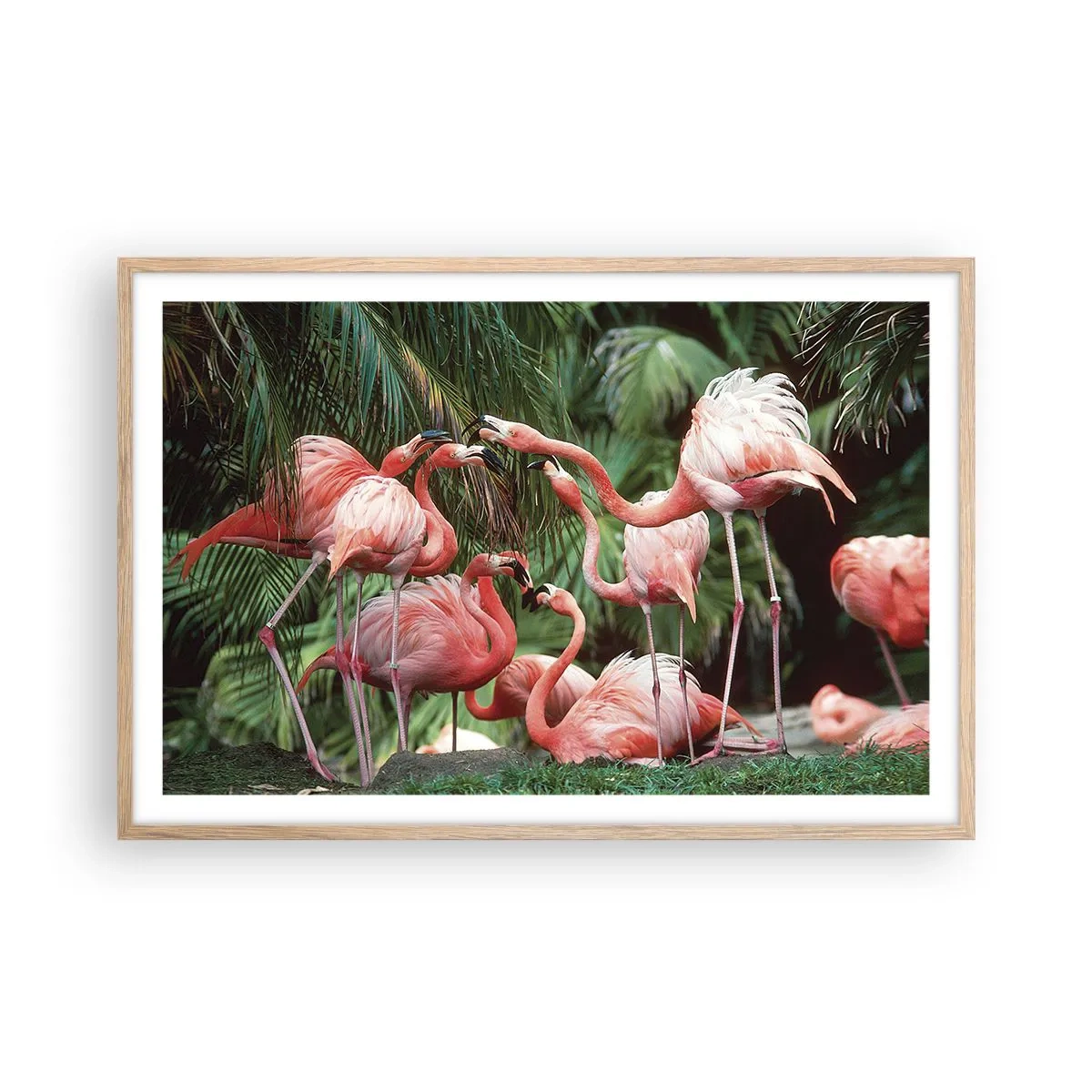 Poster in einem Rahmen aus heller Eiche - Nachmittagsklatsch - 91x61 cm