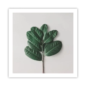 Poster - Eine Zeichnung purer Natur - 60x60 cm