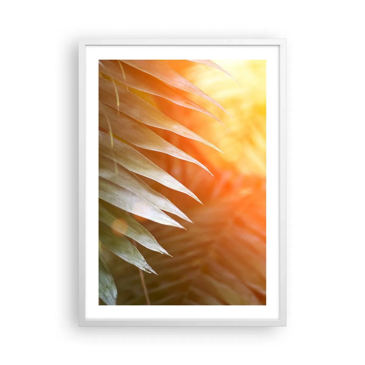 Poster in einem weißen Rahmen - Morgen im Dschungel - 50x70 cm