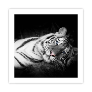 Poster - Wildnis und Frieden - 50x50 cm