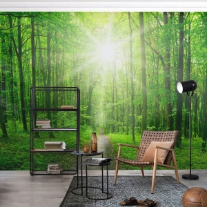 Fototapete Standard Eco - Die grüne Kathedrale - Landschaft, Wald, Sonnenstrahlen - 300x210 cm