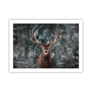Poster - Gekrönter König des Waldes - 70x50 cm