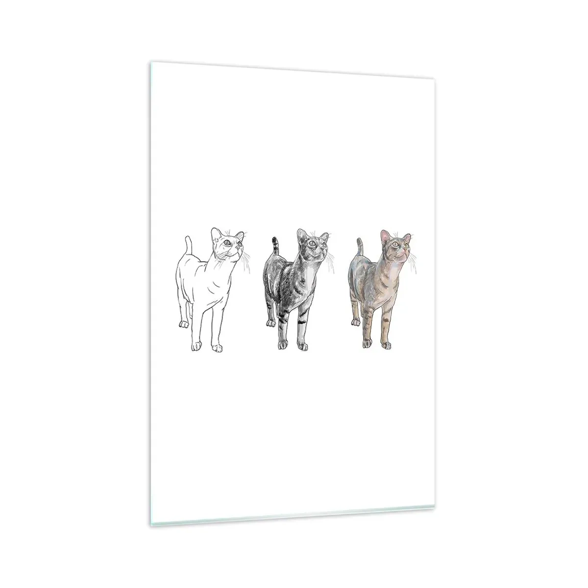 Glasbild - Bild auf glas - Die Entwicklung einer Katzenzeichnung von der Skizze zur farbigen Form - 80x120cm - Zeichenunterricht - Moderne Wanddekoration für Wohnzimmer und Schlafzimmer ARTTOR