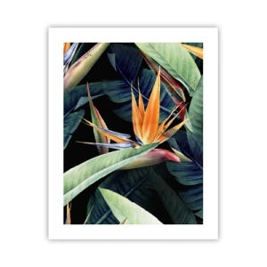 Poster - Flammende Blumen der Tropen - 40x50 cm