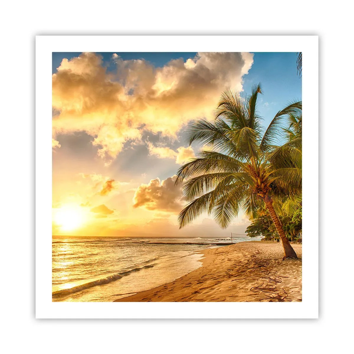 Poster - Ewiger Sommer, immer Urlaub - 60x60 cm