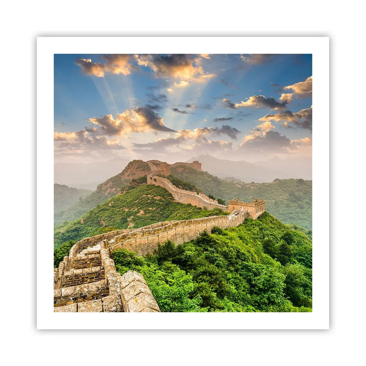Poster - Ewige Größe - 60x60 cm