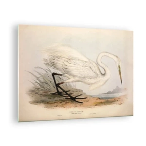 Glasbild - Bild auf glas - Vintage Illustration eines weißen Reihers am Wasserrand - 70x50cm - Dame auf den Binsen - Moderne Wanddekoration für Wohnzimmer und Schlafzimmer ARTTOR