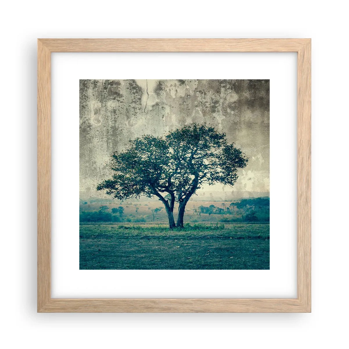 Poster in einem Rahmen aus heller Eiche - Ein Apfelbaum auf blauem Feld? - 30x30 cm