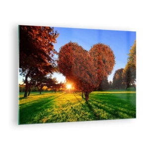 Glasbild - Bild auf glas - Ein herzförmiger Baum vor dem Hintergrund der untergehenden Sonne - 70x50cm - Und wie man den Herbst nicht liebt - Moderne Wanddekoration für Wohnzimmer und Schlafzimmer ARTTOR