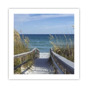 Poster - In der Sonne, im Wind - 50x50 cm